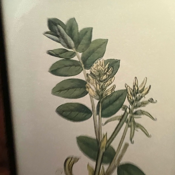 Vintage brown wooden key box, cabinet with vintage botanical floral print - Picture 2 of 16